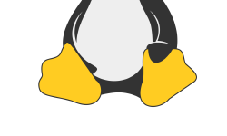 Featured image of post Linux